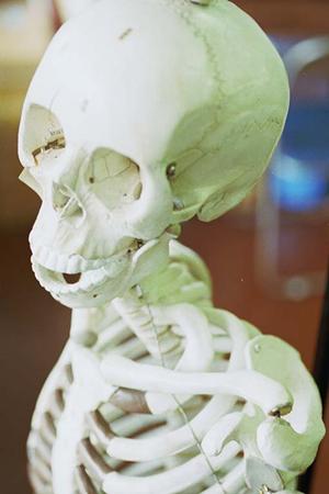 東大阪にあるおすすめの歯科について