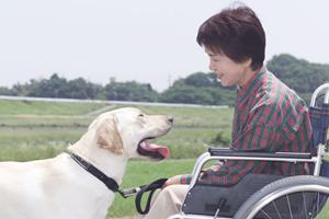 仙台で発毛ケアを始めてAGAにも対処