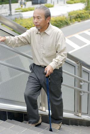 歯の健康を守る選択肢！豊橋の歯医者で見つける最高のケア