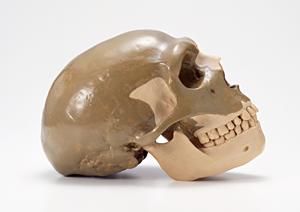 痔なら東京の肛門科医院を受診できる