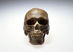 目黒区エリアの成人矯正に最適な歯科です