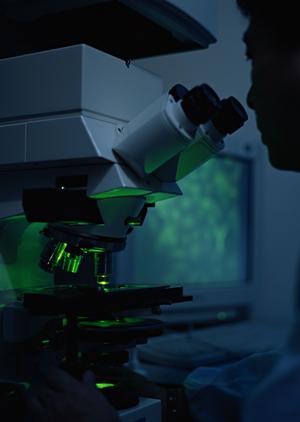 椎名町駅からすぐの場所にある歯医者