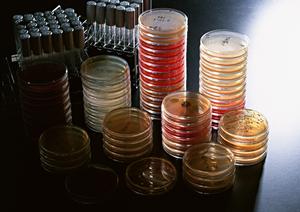 郡山市でホワイトニングの悩みならここへ